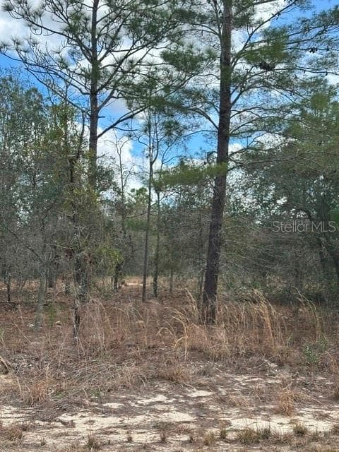 Land at RAINBOW LAKES ESTATE, DUNNELLON, photo 6 of 8