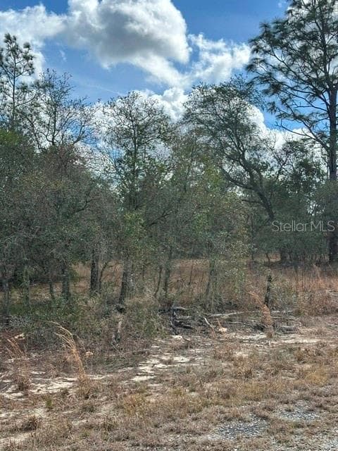 Land at RAINBOW LAKES ESTATE, DUNNELLON, photo 7 of 8