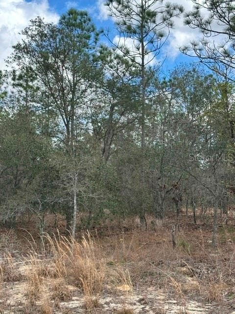 Land at RAINBOW LAKES ESTATE, DUNNELLON, photo 8 of 8