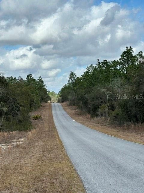 Land at RAINBOW LAKES ESTATE, DUNNELLON, photo 3 of 6