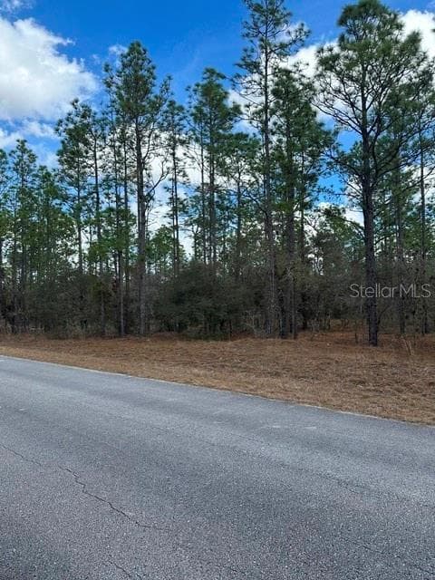 Land at RAINBOW LAKES ESTATE, DUNNELLON, photo 4 of 6