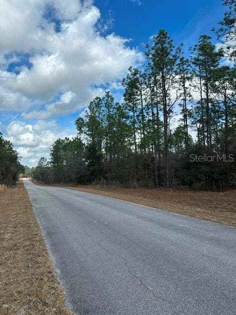 Land at RAINBOW LAKES ESTATE, DUNNELLON, photo 5 of 6