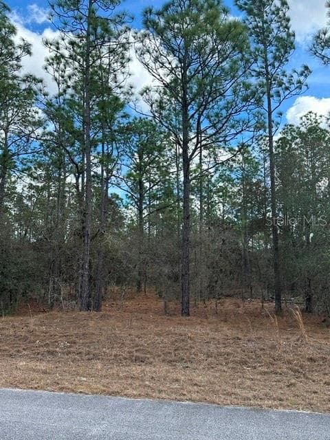 Land at RAINBOW LAKES ESTATE, DUNNELLON, photo 6 of 6