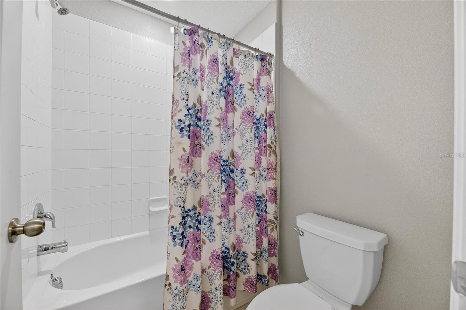 Single Family Residence at 16791 DELIA ST, WIMAUMA, photo 26 of 53