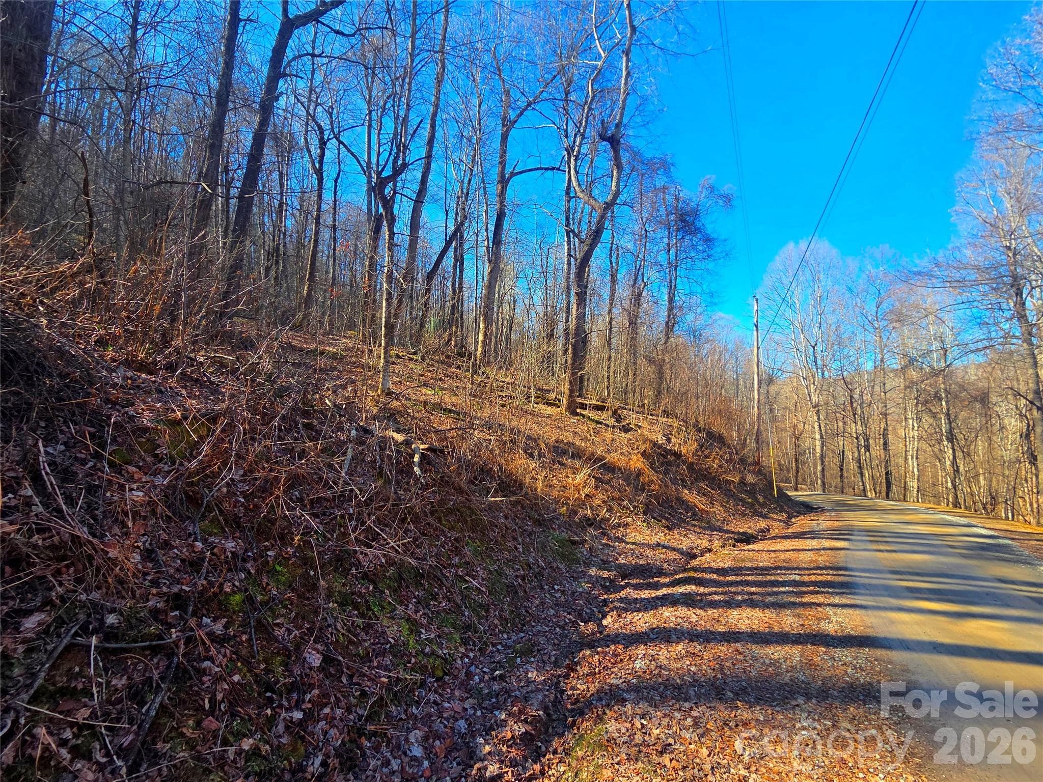 Lot at Waynesville, photo 2 of 18
