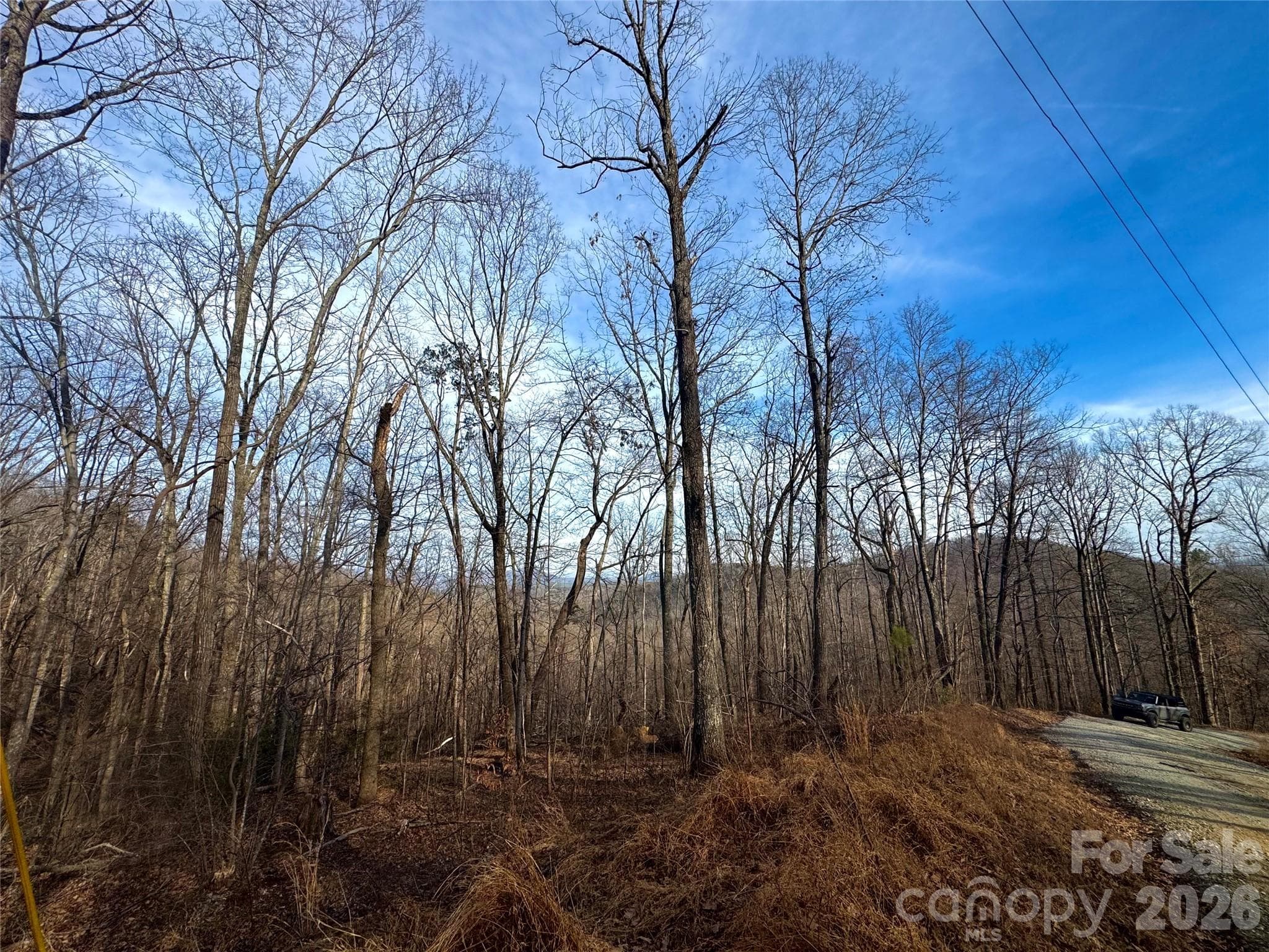 Lot at 0 Peartree Drive, Lake Lure, photo 2 of 9