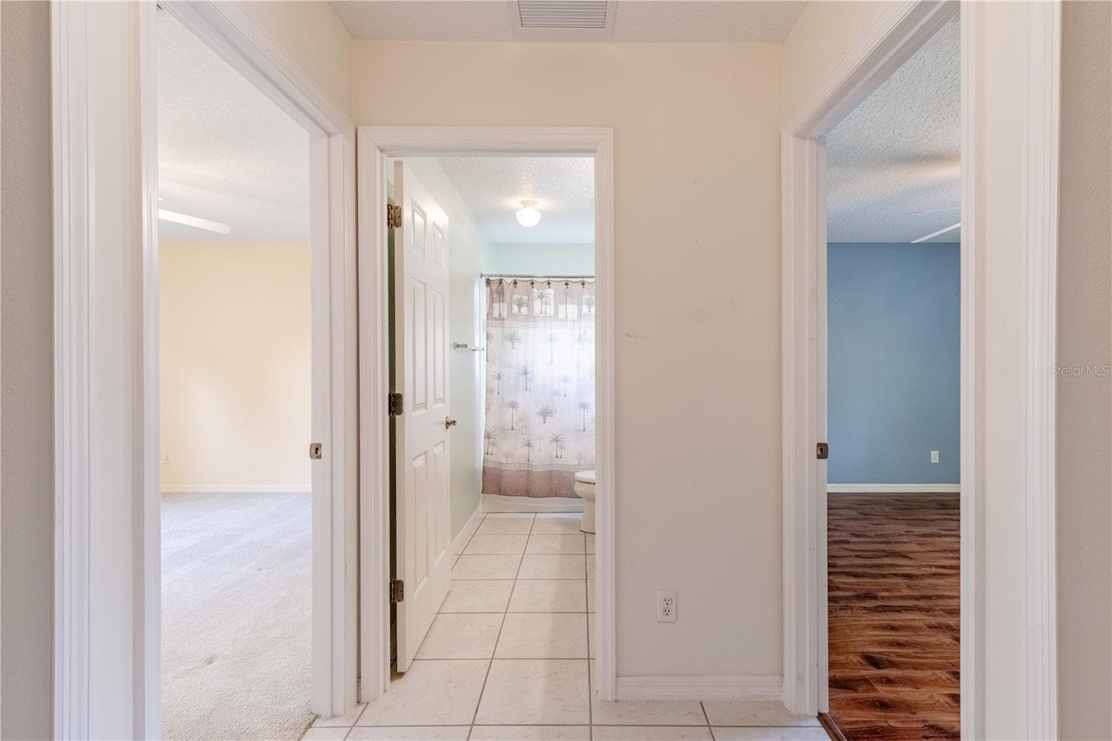 Hall to bath - 5732 FREEPORT DR, TAVARES