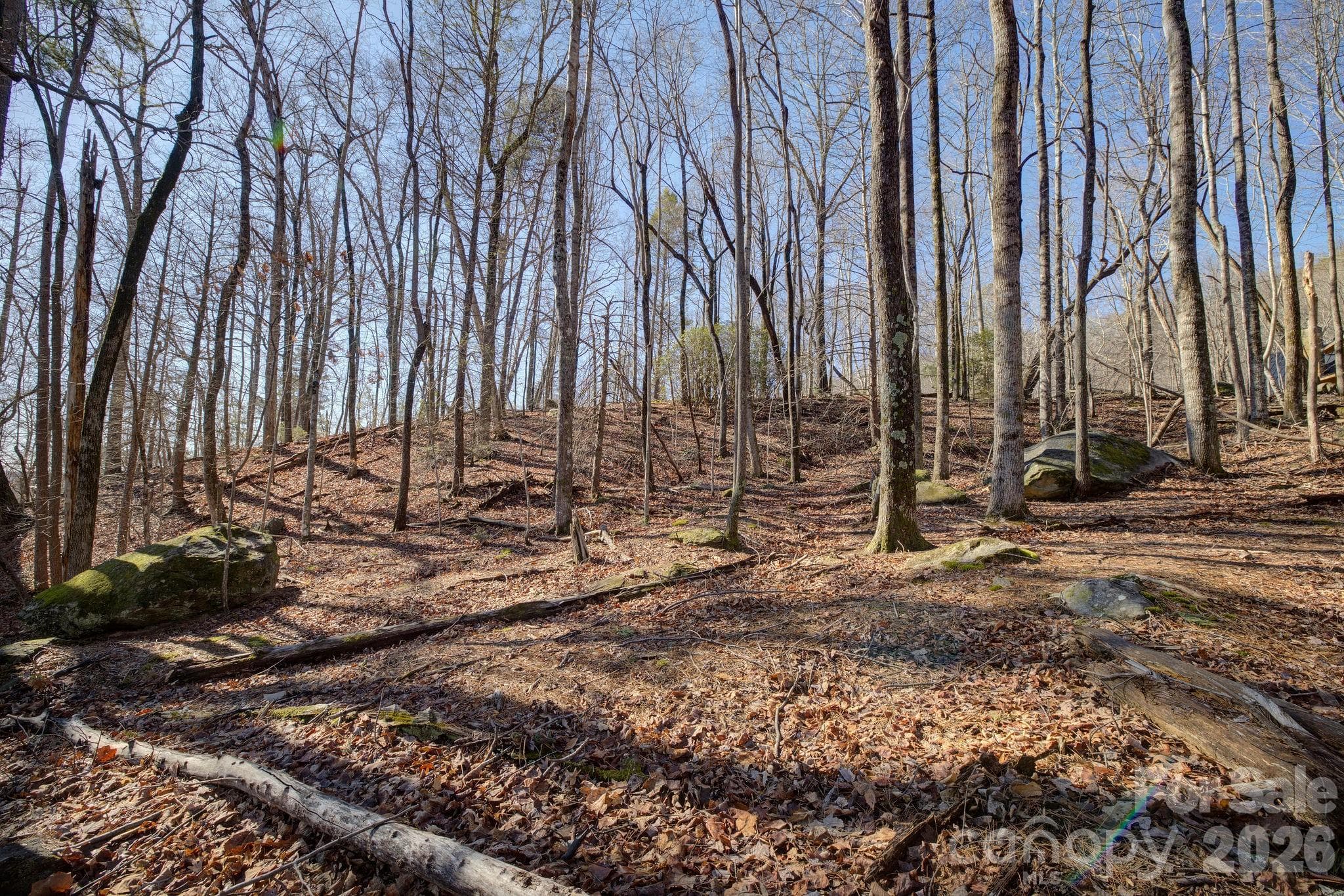 Acreage at 004 High Road Court, Lake Lure, photo 2 of 12
