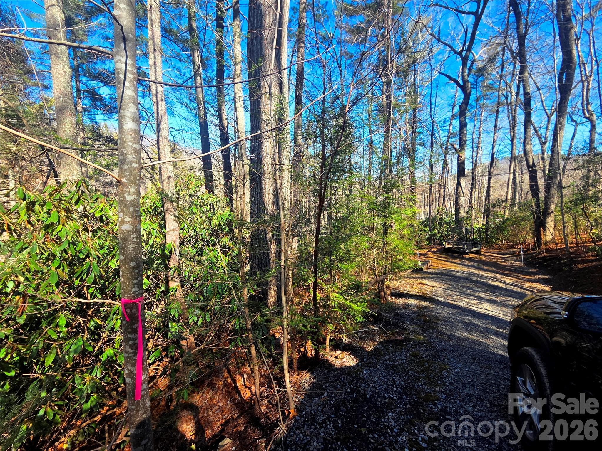 Lot at Waynesville, photo 11 of 17