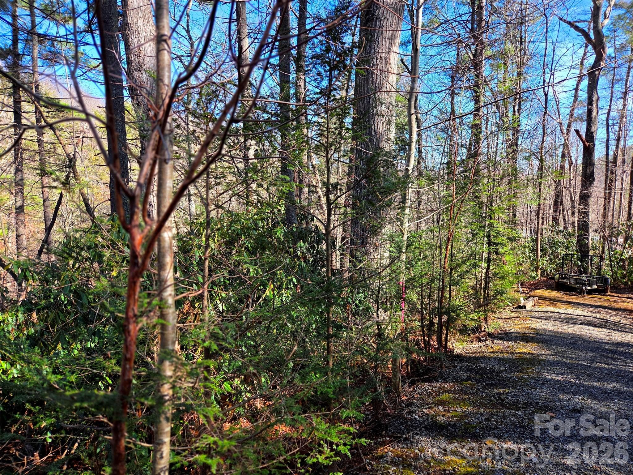 Lot at Waynesville, photo 14 of 17