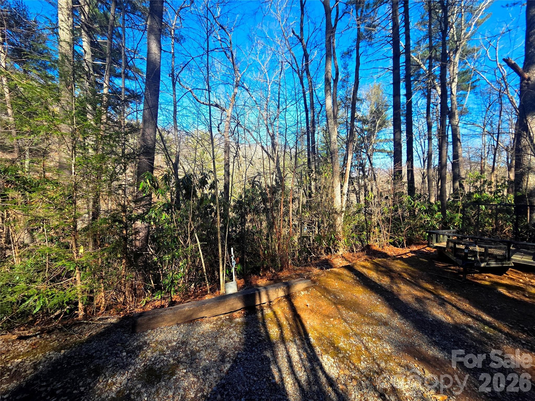 Lot at Waynesville, photo 15 of 17