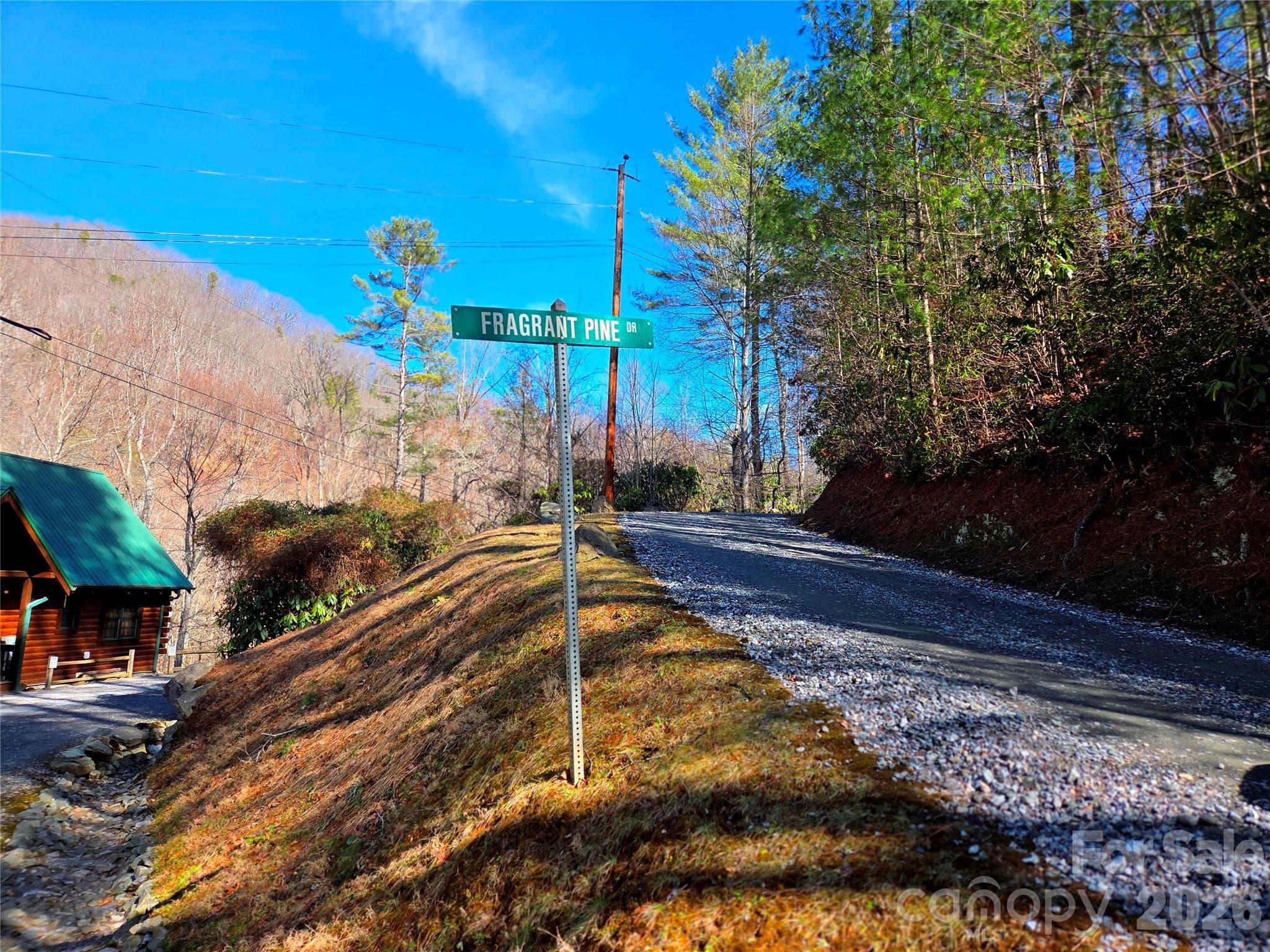 Lot at Waynesville, photo 16 of 17