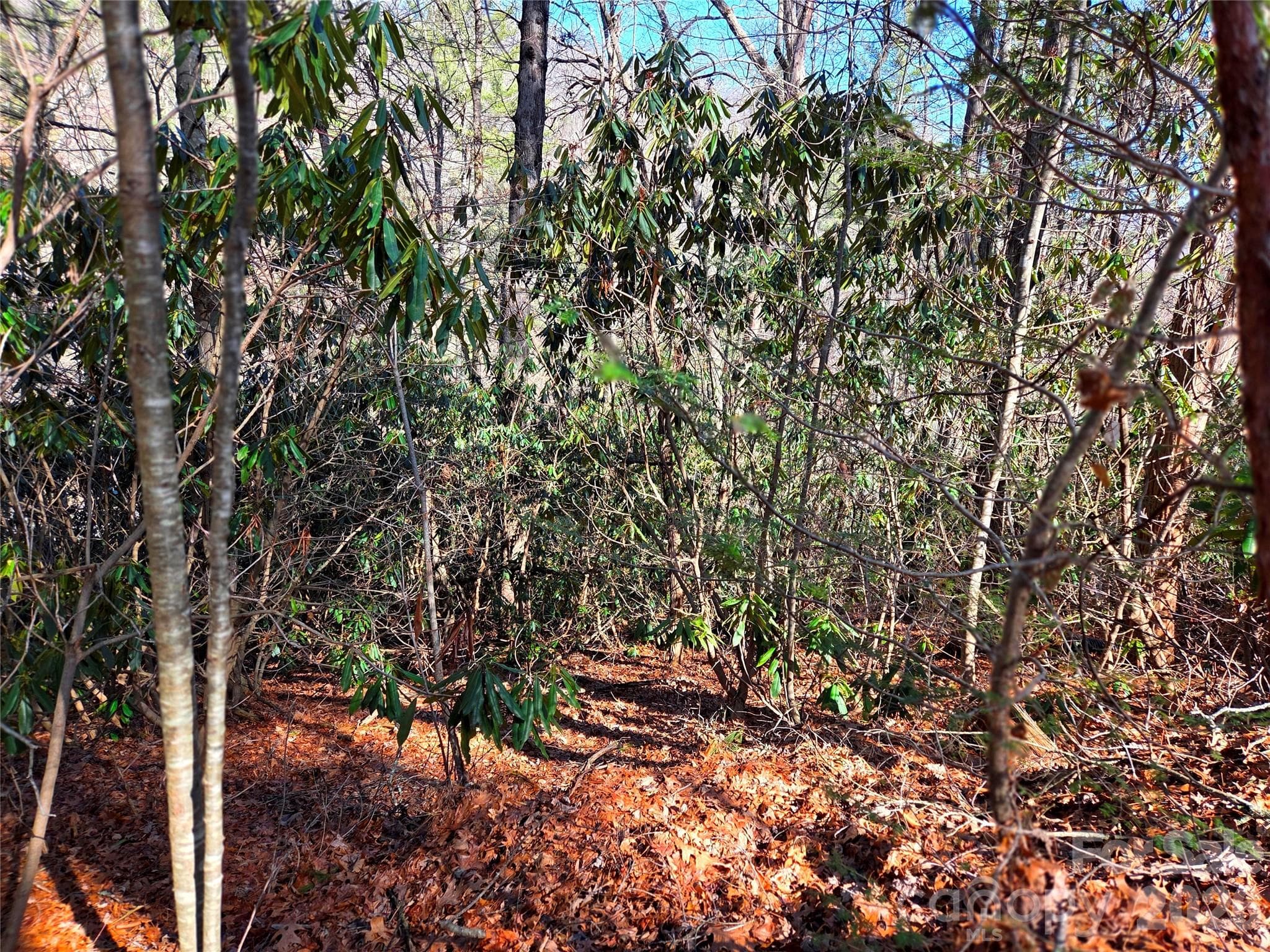Lot at Waynesville, photo 17 of 17