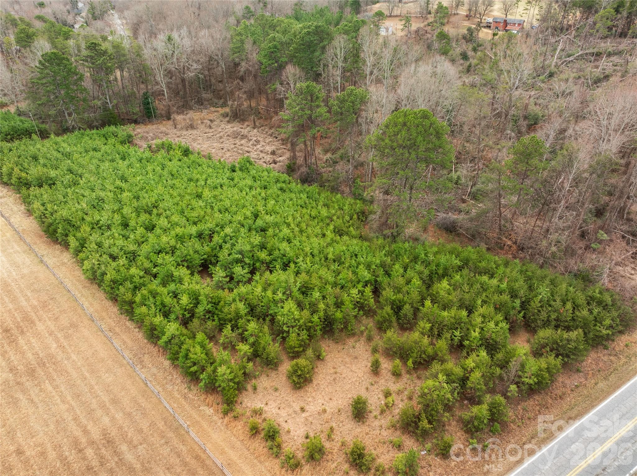 Acreage at 0 NC Hwy 108 Highway, Rutherfordton, photo 4 of 5