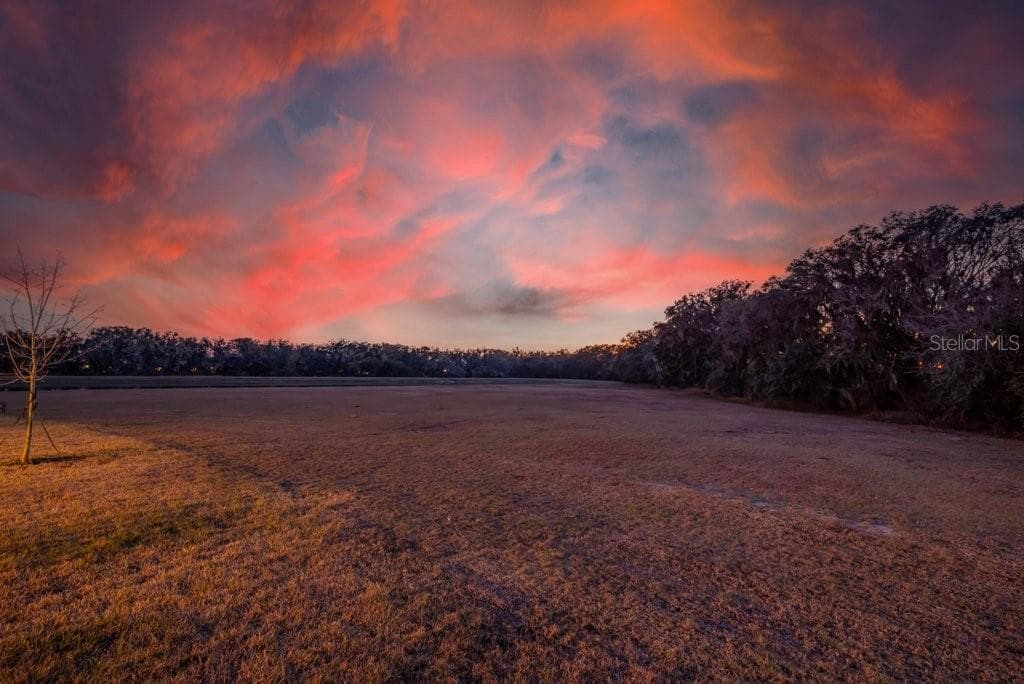 PICTURESQUE SUNSETS - 14604 HORSE TROT RD, LITHIA