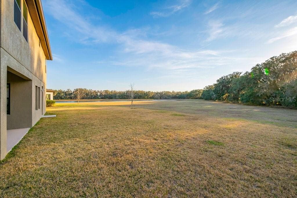 Single Family Residence at 14604 HORSE TROT RD, LITHIA, photo 36 of 62