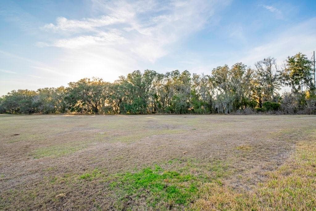 Single Family Residence at 14604 HORSE TROT RD, LITHIA, photo 40 of 62