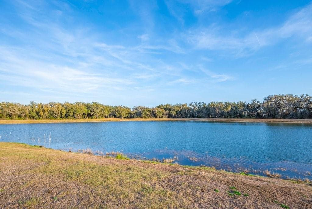 Single Family Residence at 14604 HORSE TROT RD, LITHIA, photo 41 of 62