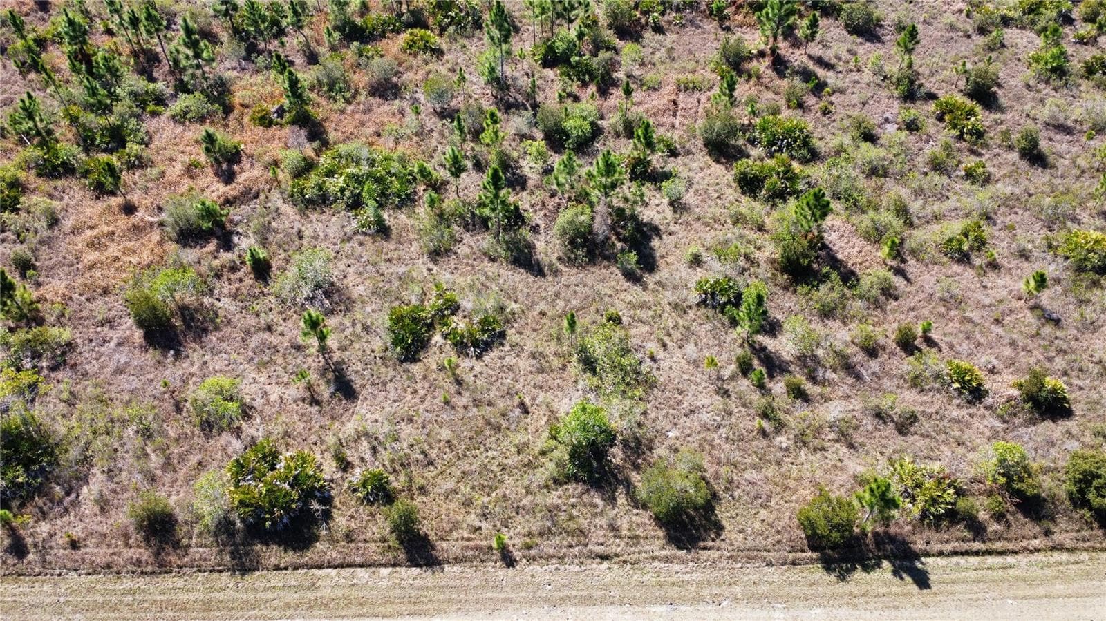 Land at 0 ALTHEA DR, LAKE WALES, photo 3 of 3
