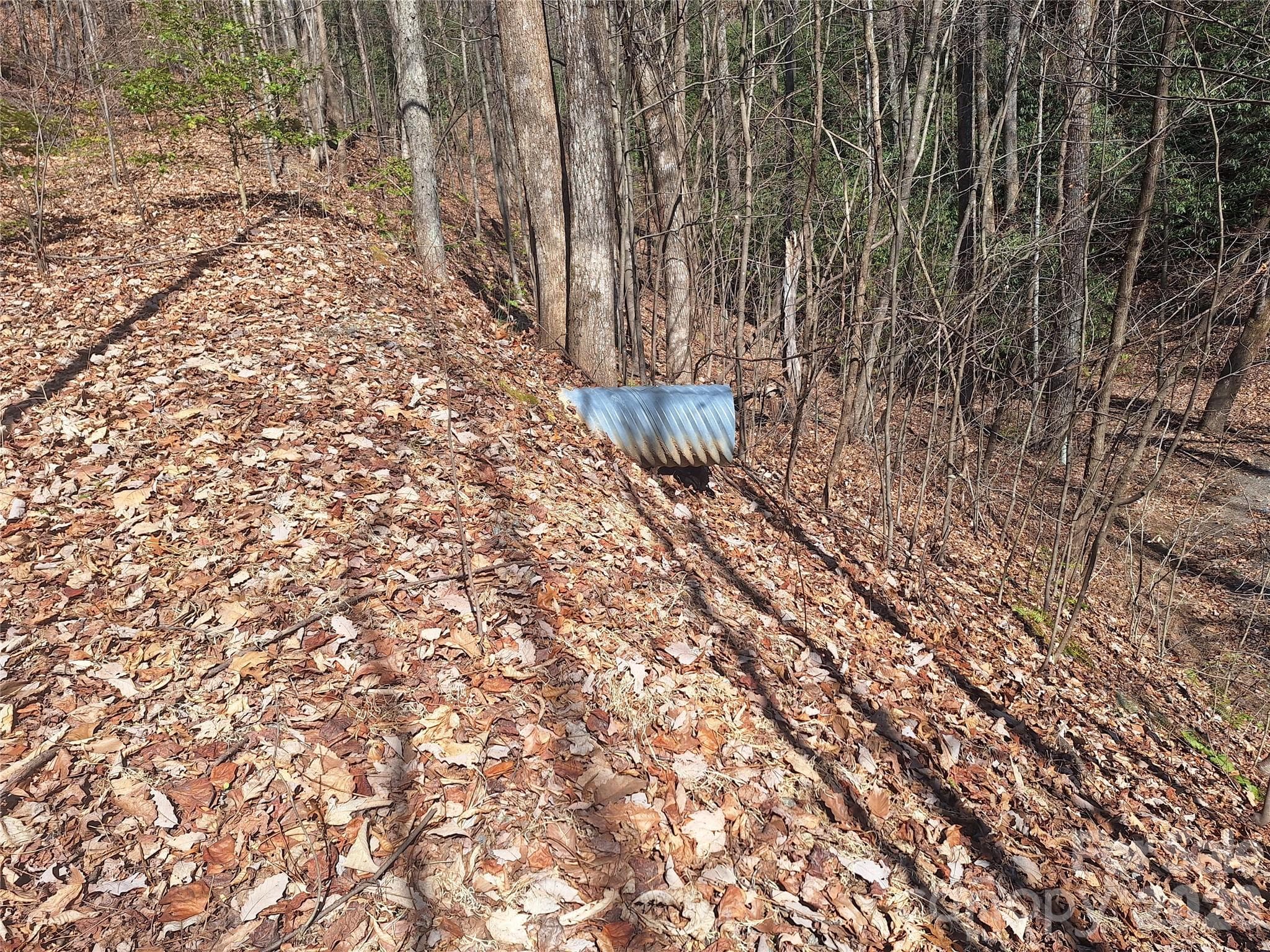 Lot at 965 Wolf Pen Road, Old Fort, photo 11 of 30