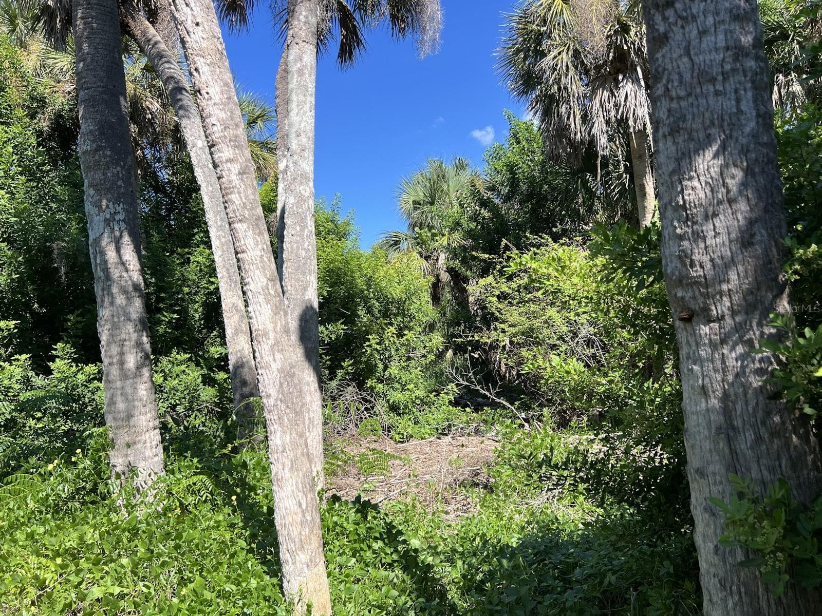 Land at 10049 HEL-LEW CT, PLACIDA, photo 8 of 14