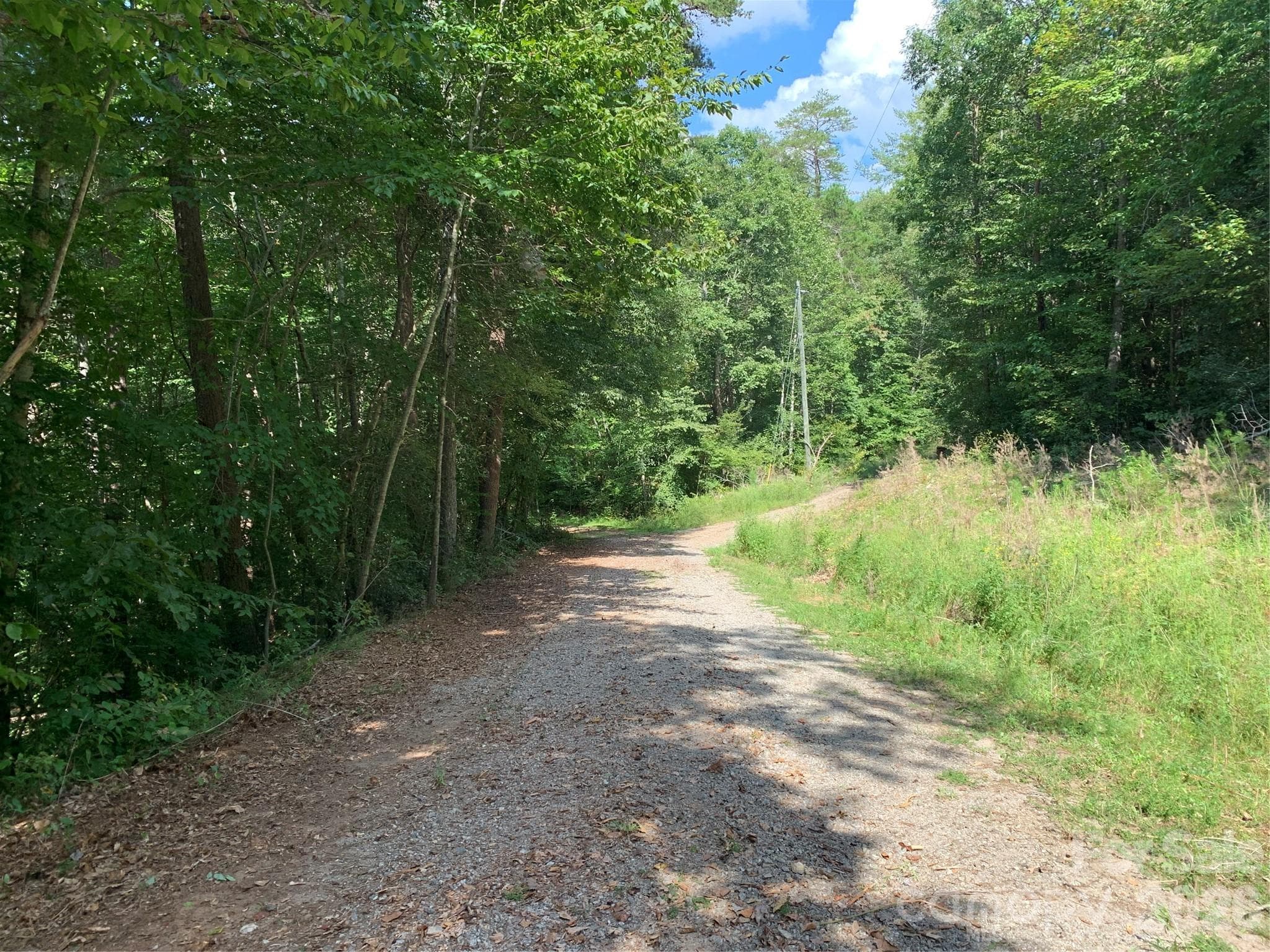 Private drive on property toward lake/beach and secondary road - Hickory