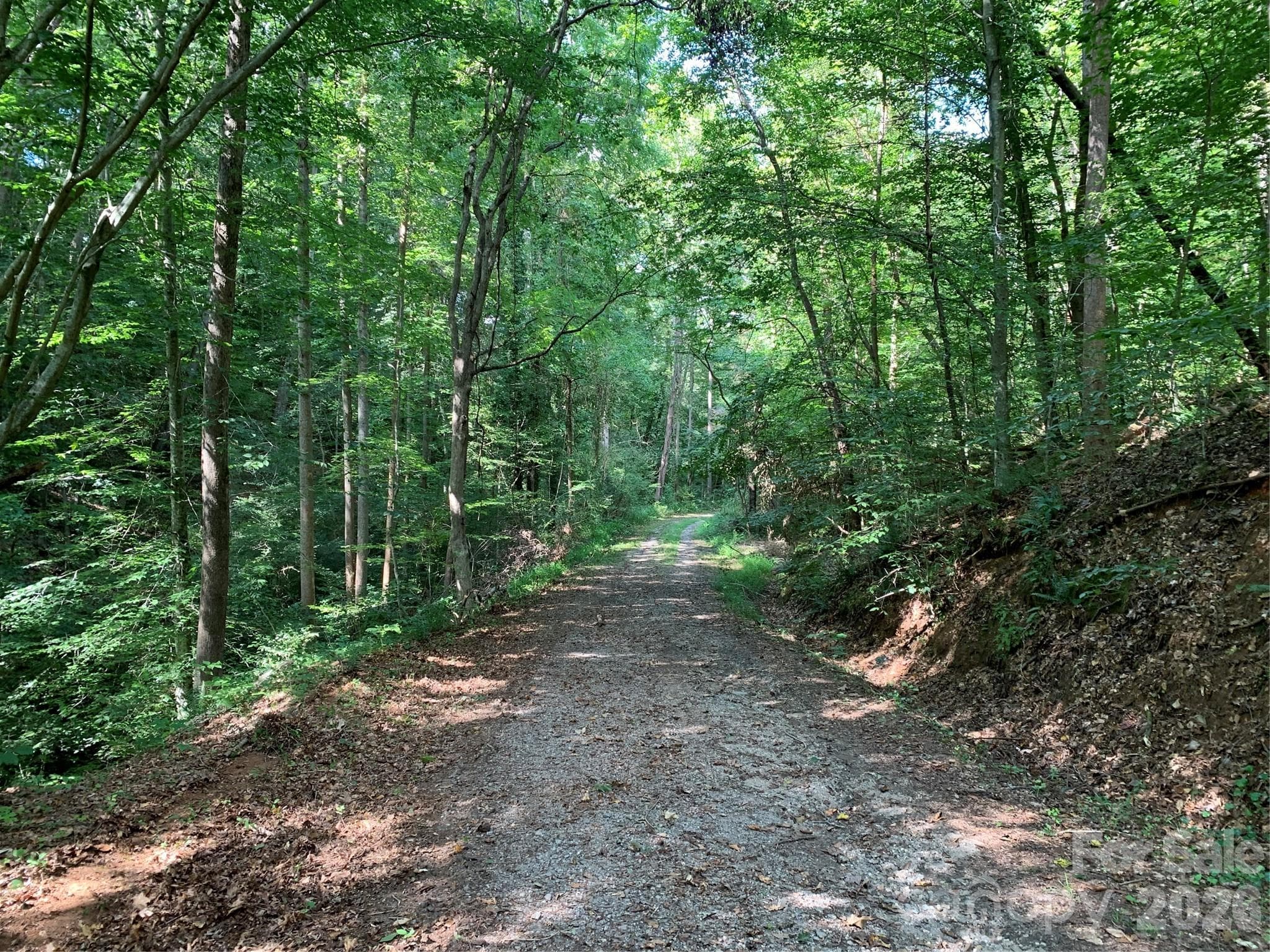 Private road toward lake/beach - Hickory