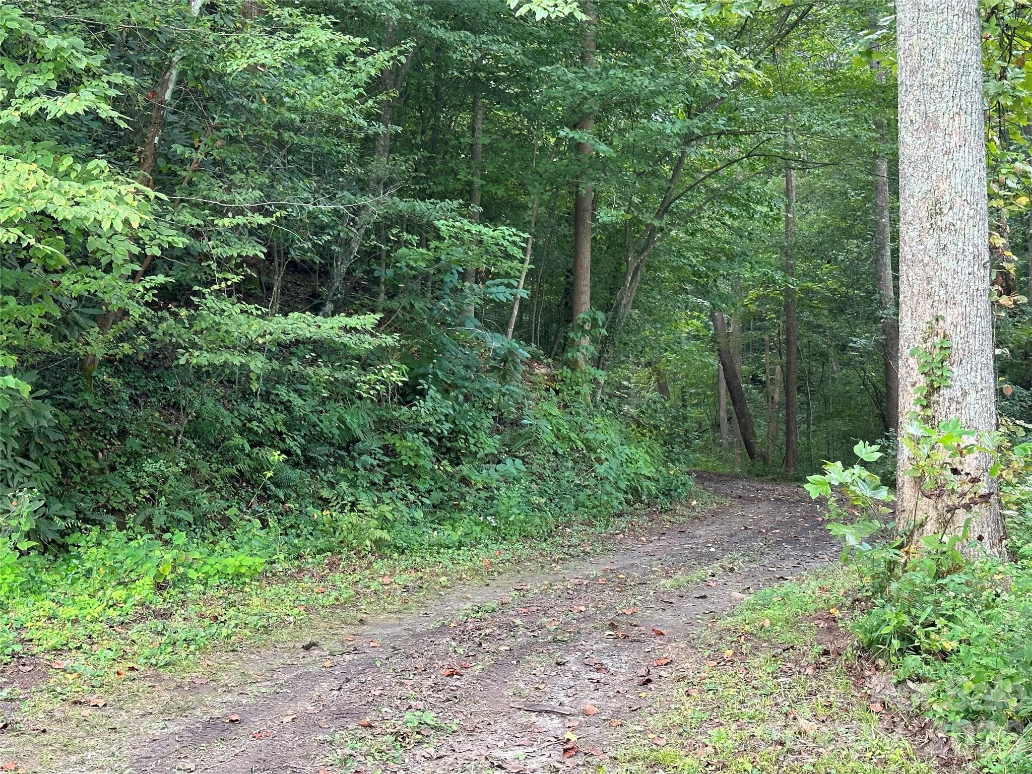 Private road from lake/beach area toward the south - Hickory