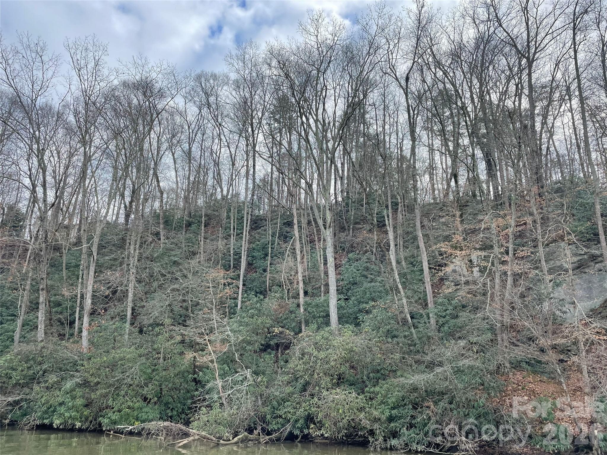 View from Lake Hickory - Hickory