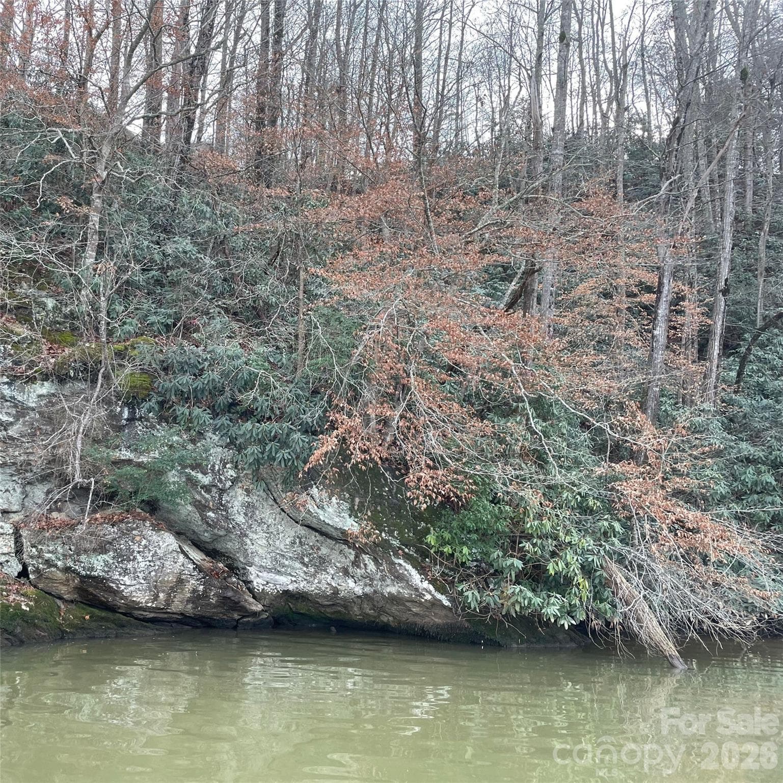 View from Lake Hickory - Hickory