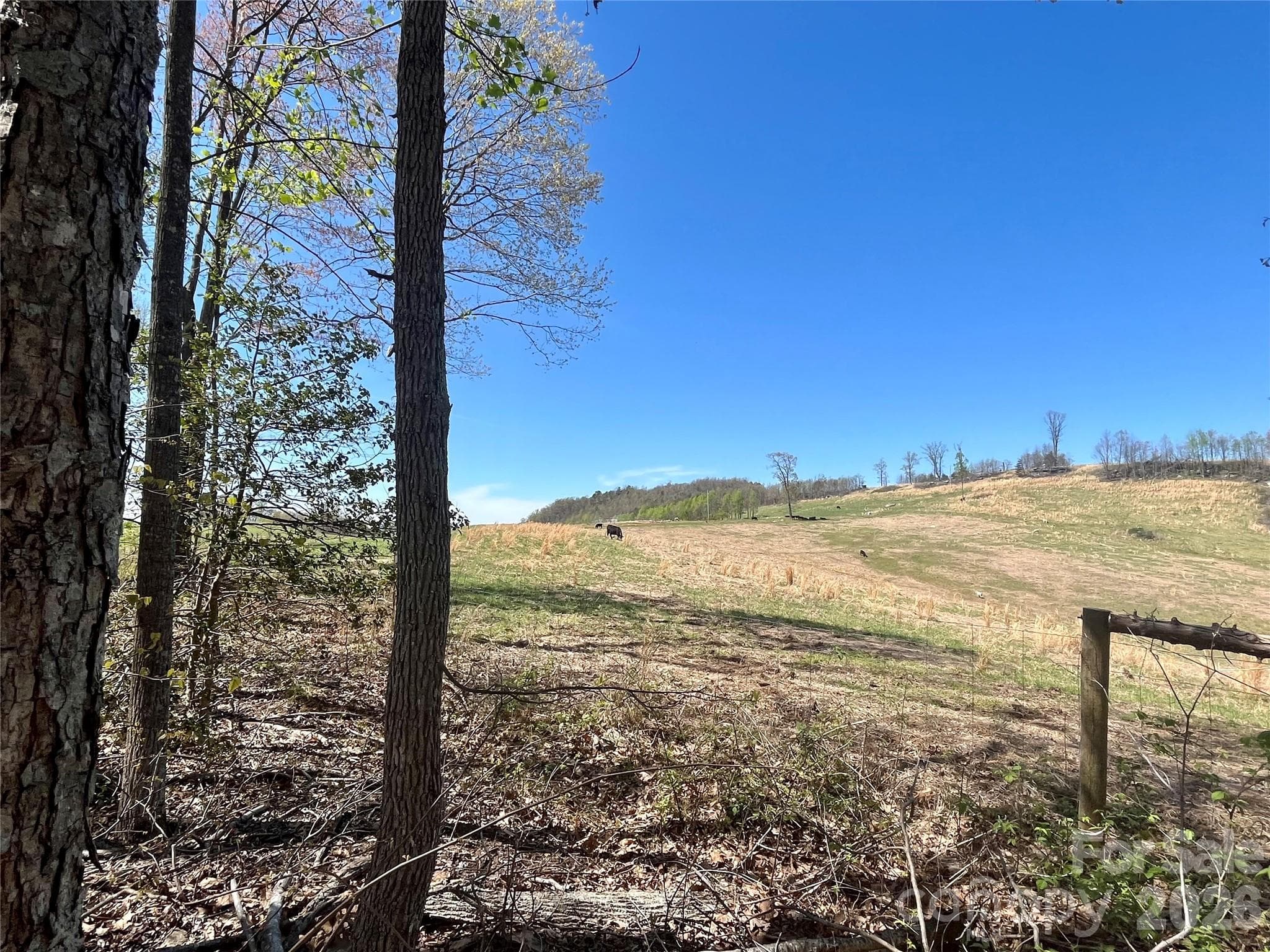 Back view from 11 acre parcel - 00 Pilgrim Church Road, Hiddenite