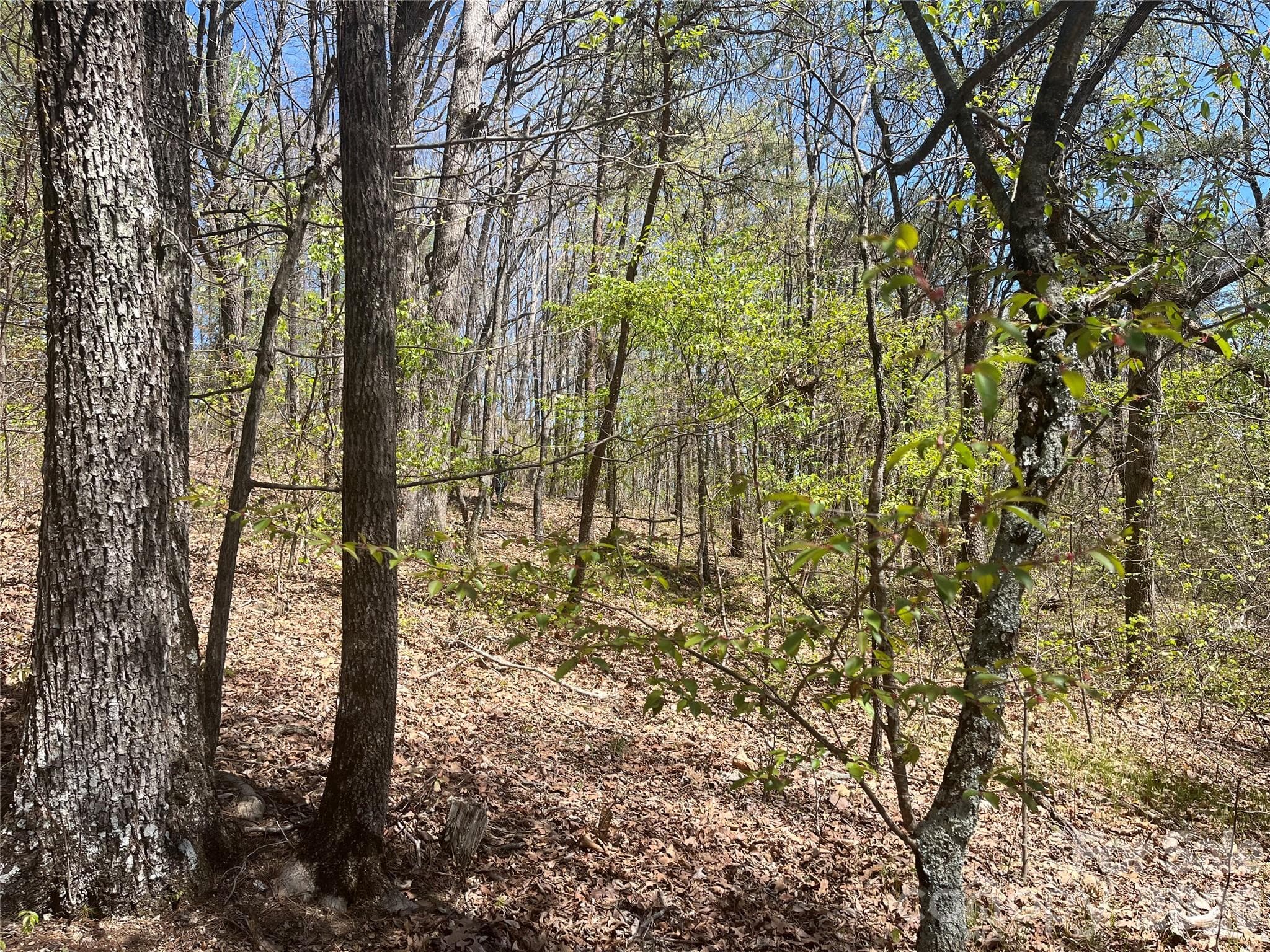 Acreage at 00 Pilgrim Church Road, Hiddenite, photo 5 of 21
