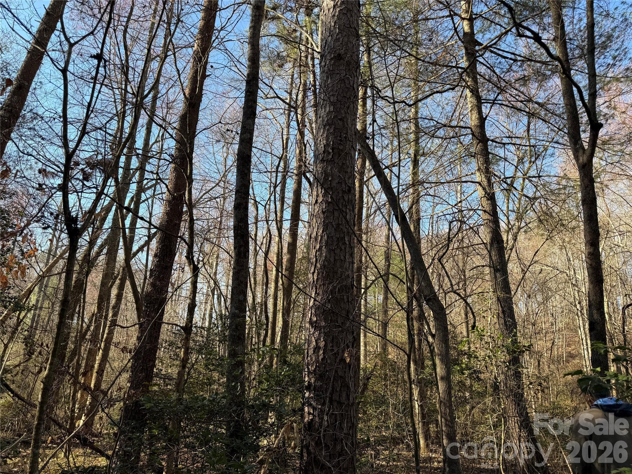 Acreage at 00 Pilgrim Church Road, Hiddenite, photo 19 of 21