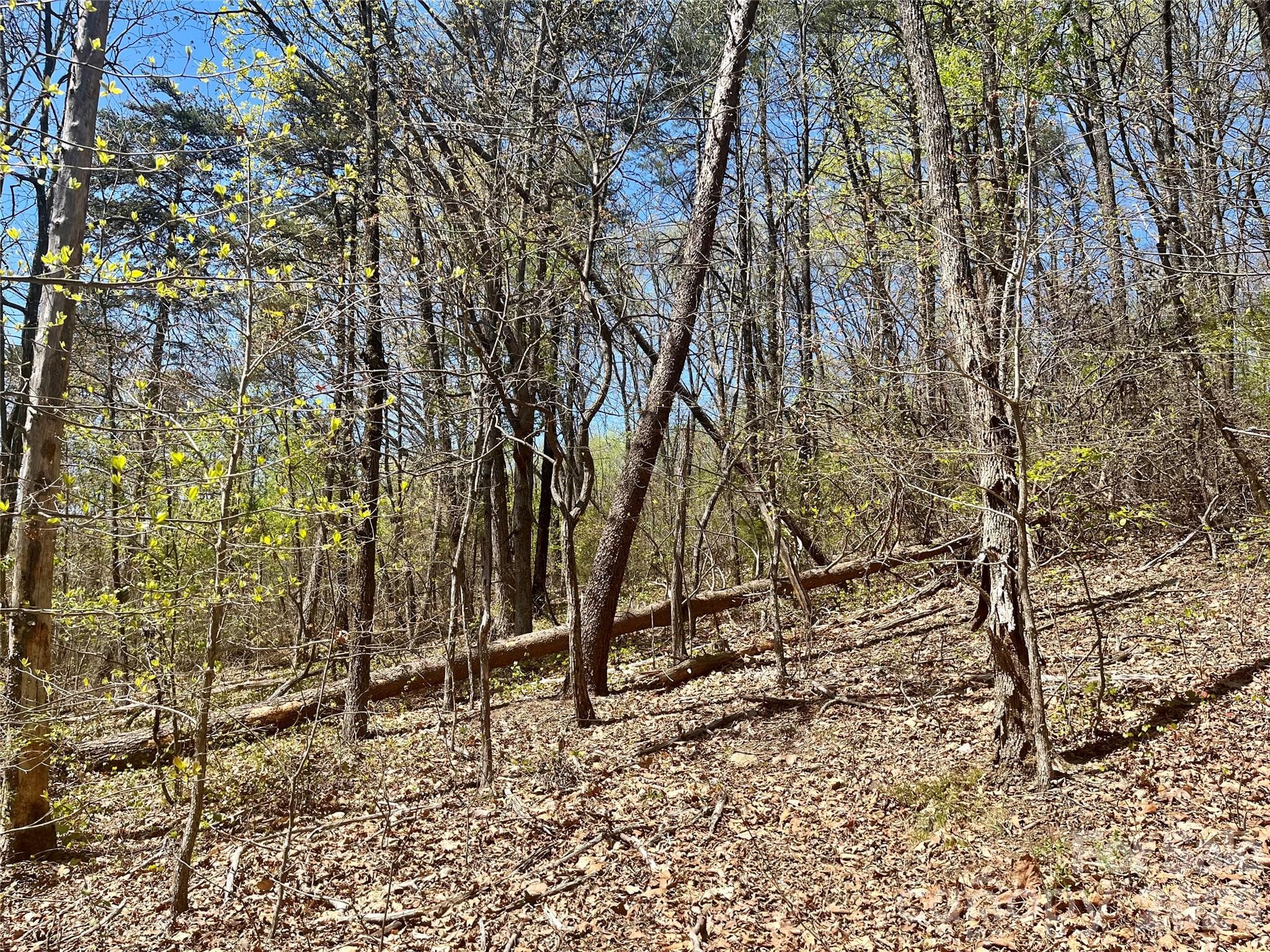 Acreage at 00 Pilgrim Church Road, Hiddenite, photo 21 of 21