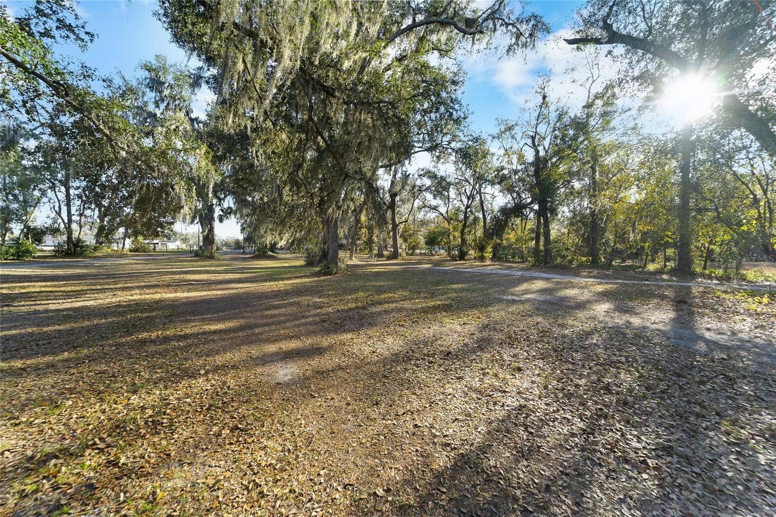 3007 OWLS NEST LN