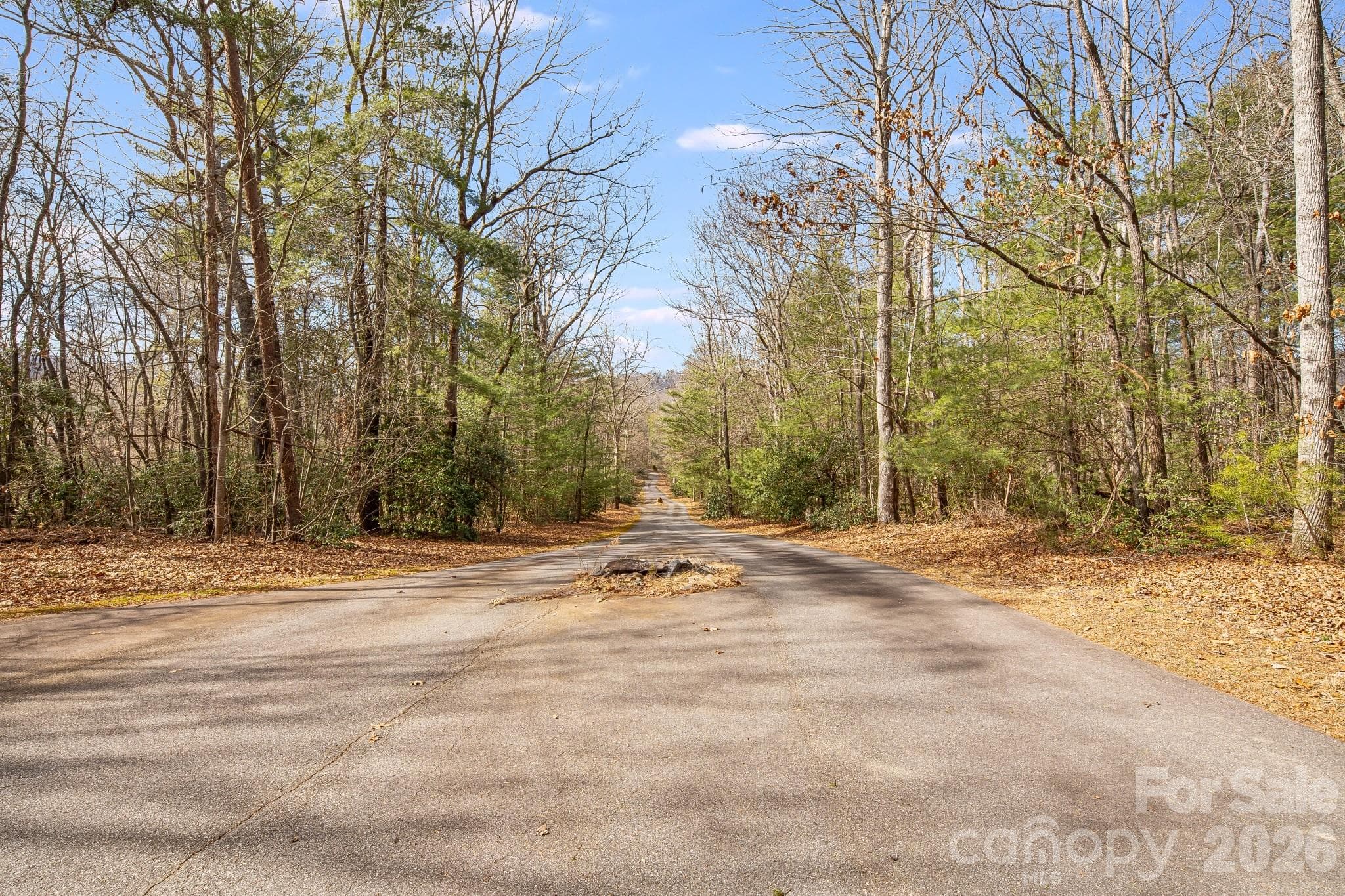 Acreage at 00 Old Haywood Road, Mills River, photo 13 of 16