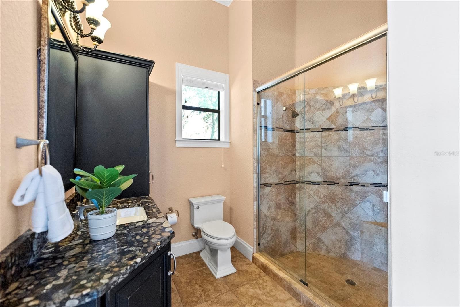 Single Family Residence at 9902 MENANDER WOOD CT, ODESSA, photo 82 of 99