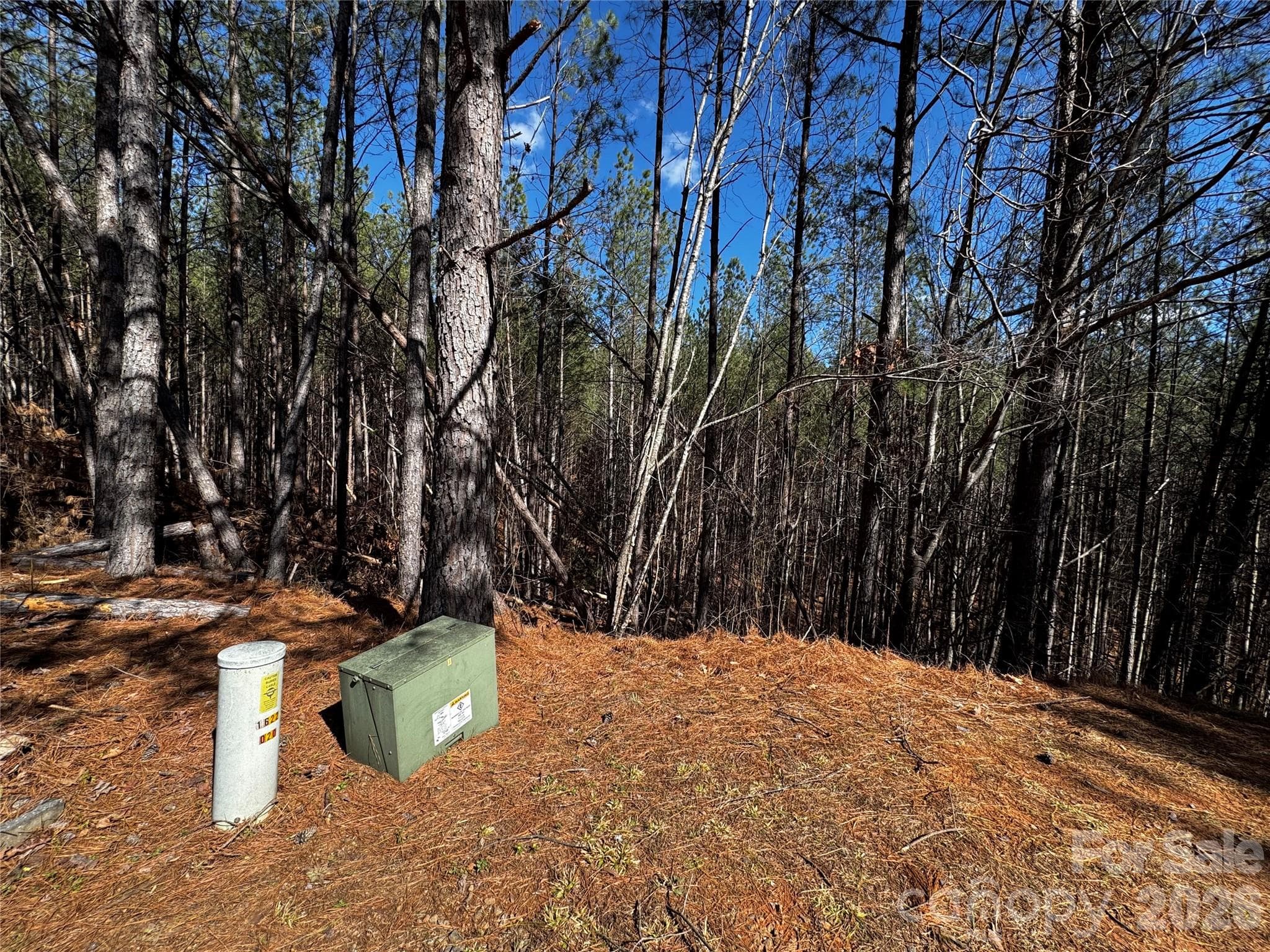 Lot at Mill Spring, photo 9 of 14