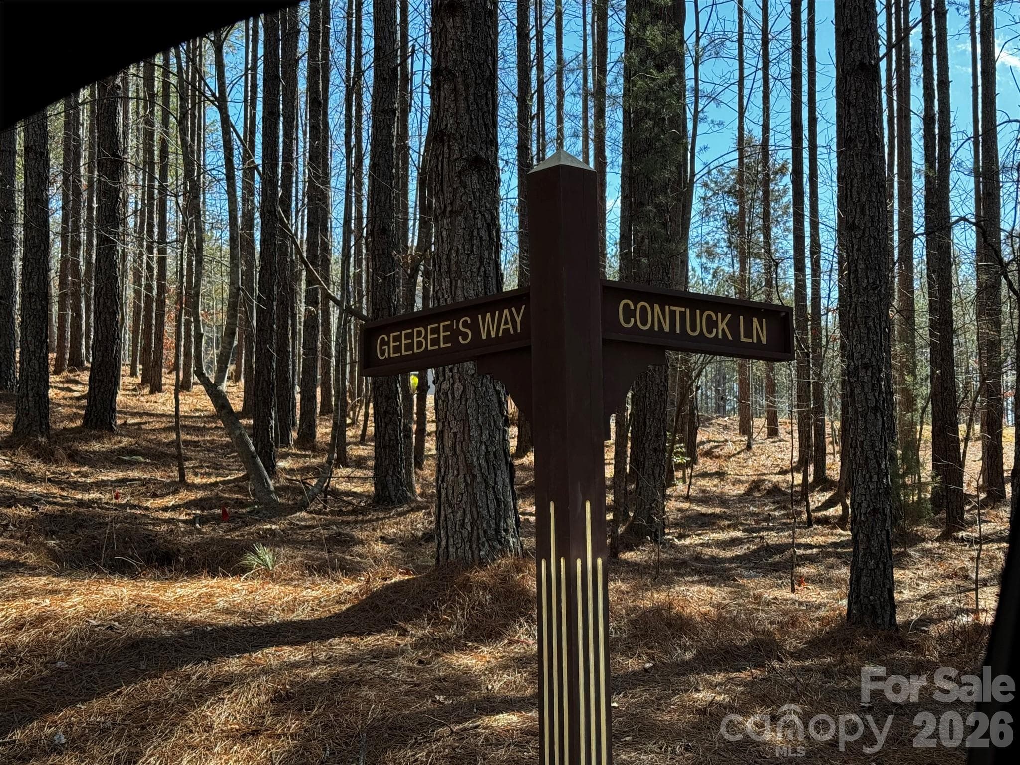 Lot at Mill Spring, photo 14 of 14