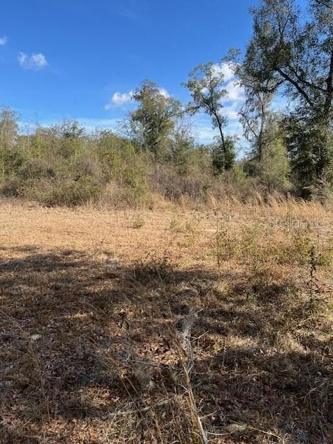 Land at NW 7TH ST, OCALA, photo 3 of 7
