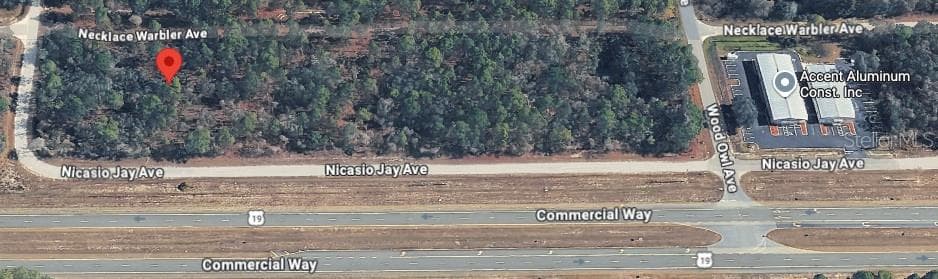Land at 17496 NICASIO JAY AVE, WEEKI WACHEE, photo 6 of 16
