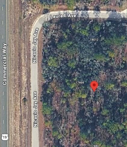Land at 17496 NICASIO JAY AVE, WEEKI WACHEE, photo 7 of 16