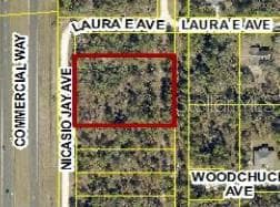 Land at 17496 NICASIO JAY AVE, WEEKI WACHEE, photo 4 of 16