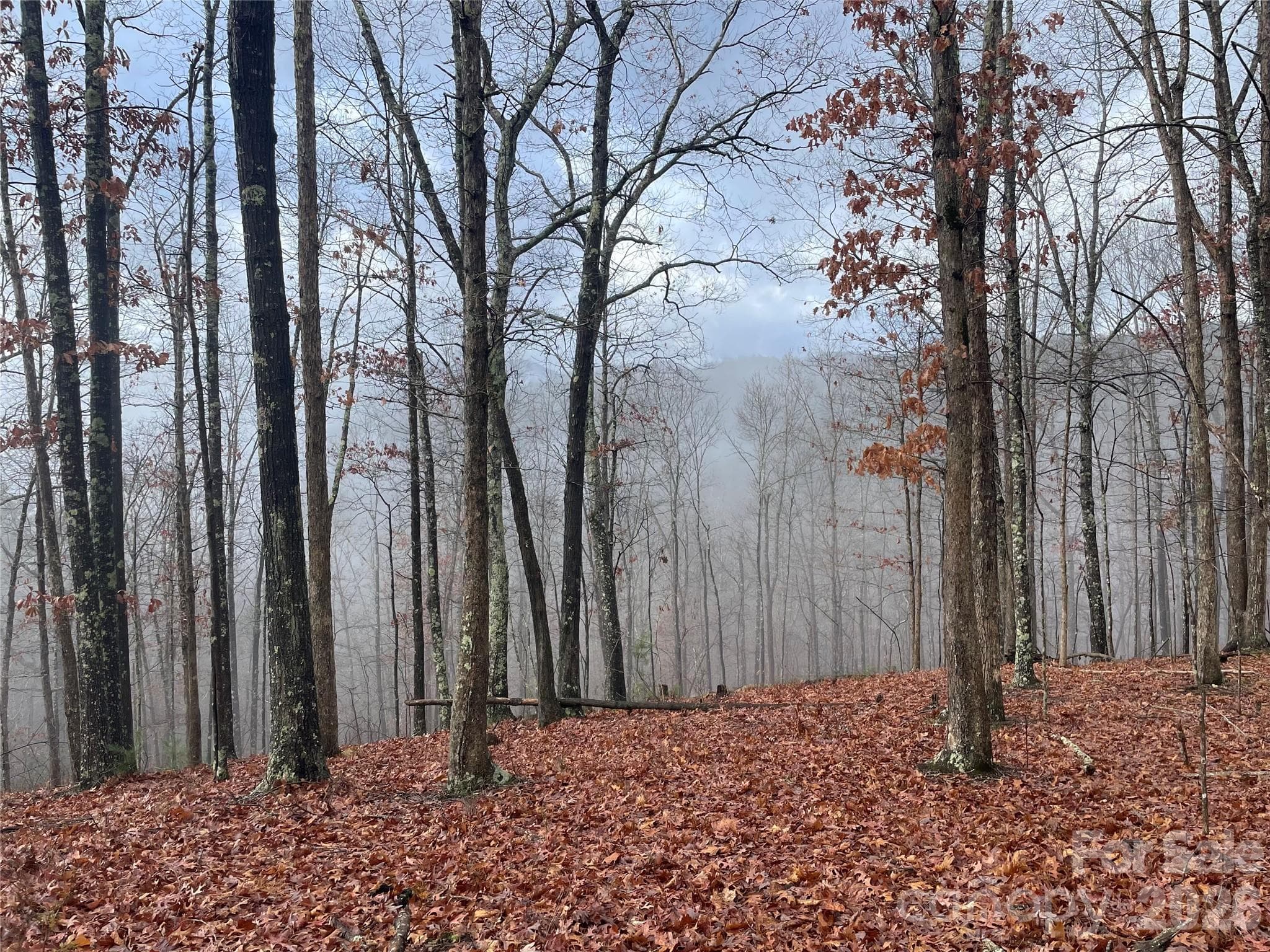 Lot at French Broad Crossing, Marshall, photo 2 of 38