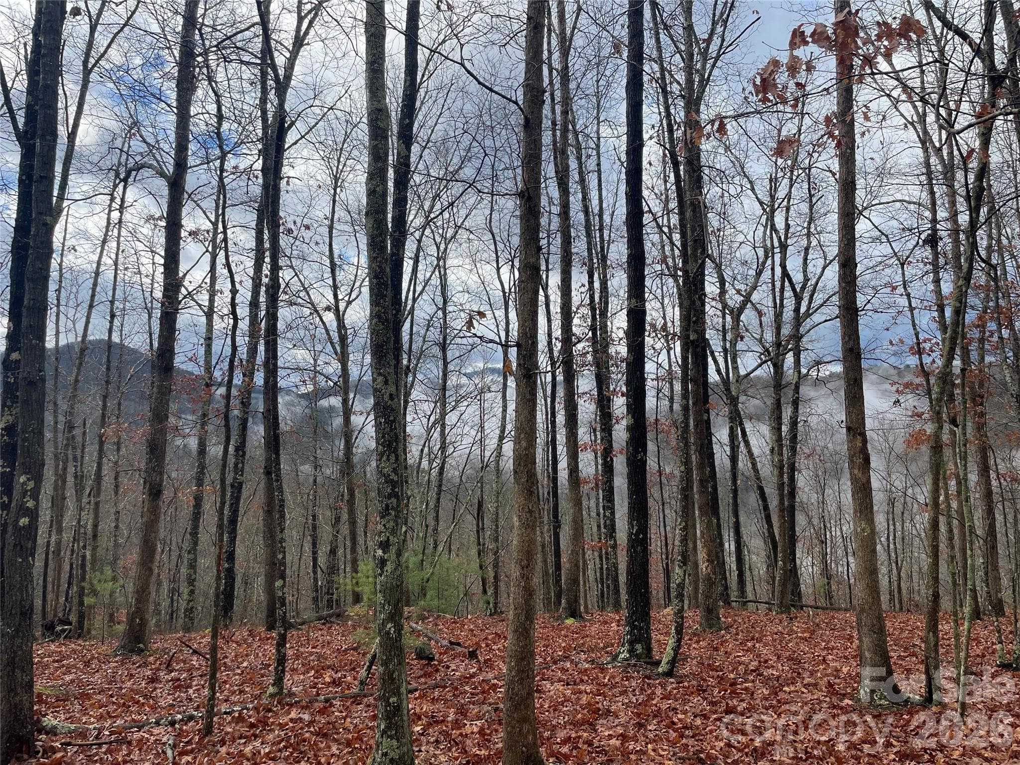 Lot at French Broad Crossing, Marshall, photo 3 of 38