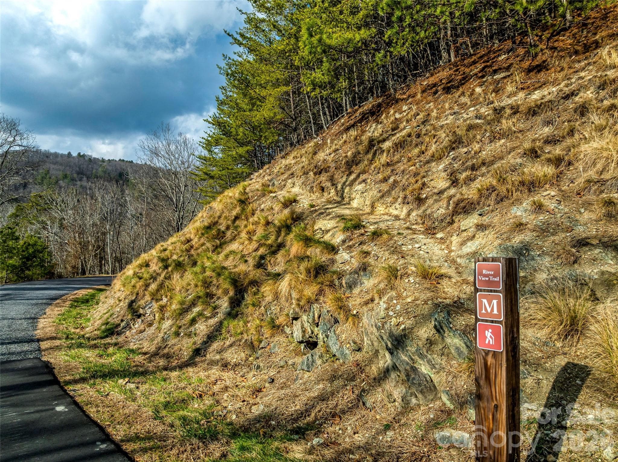 Lot at French Broad Crossing, Marshall, photo 35 of 38
