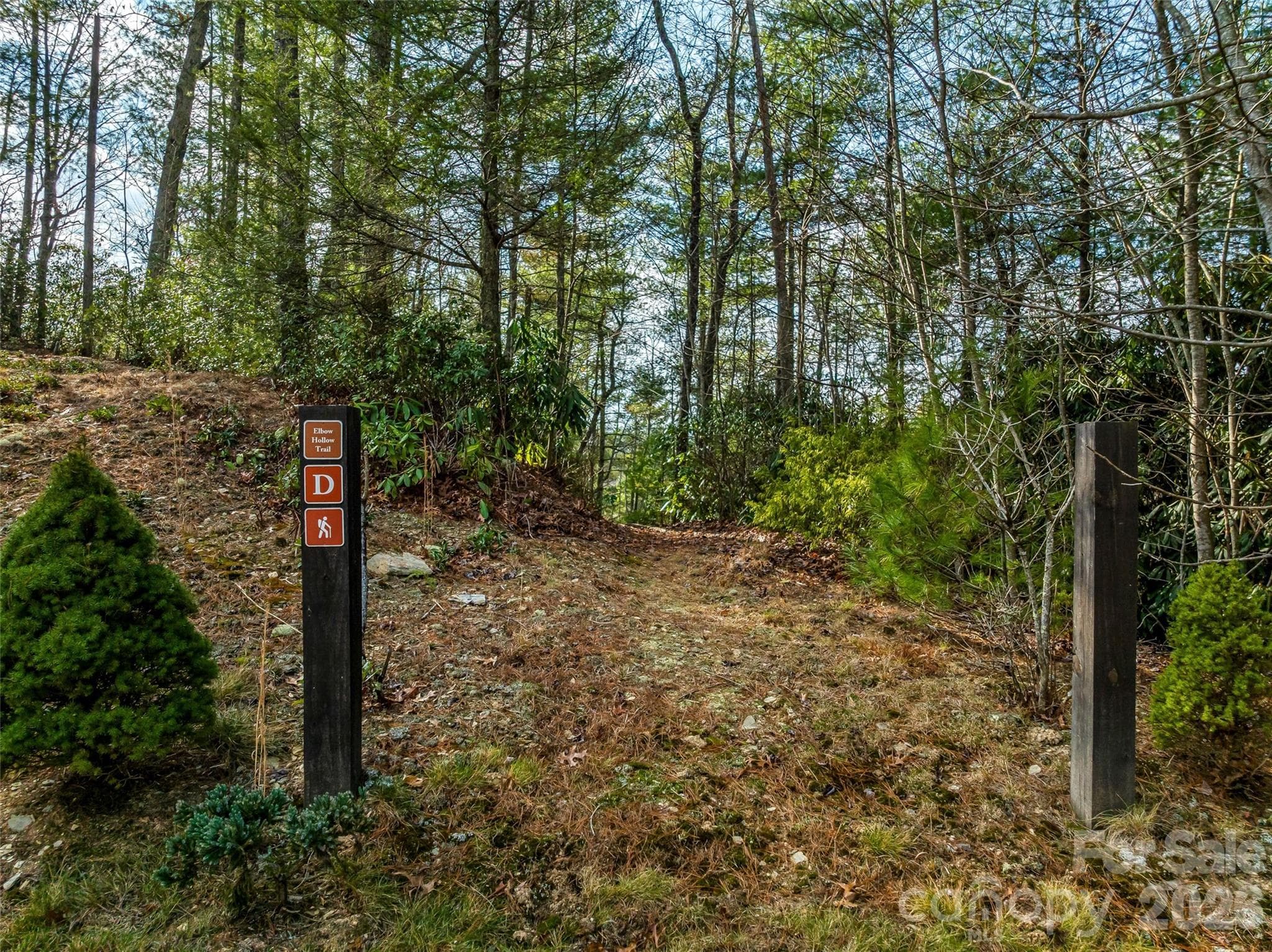 Lot at French Broad Crossing, Marshall, photo 36 of 38
