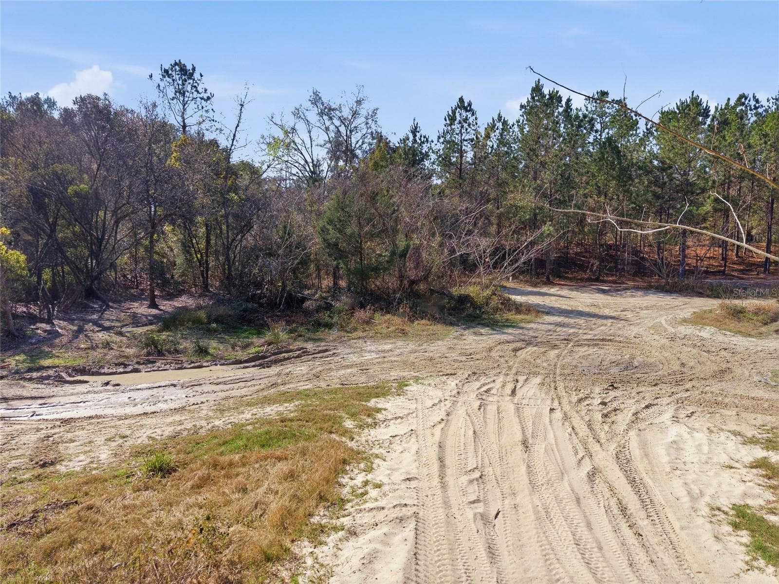 Land at Lot 027 NE 164TH LN, CITRA, photo 34 of 34