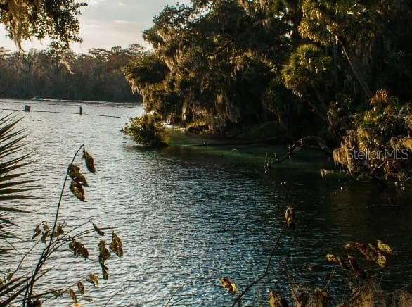 Blue Springs State Park - 1465 TRINIDAD ST, DELAND