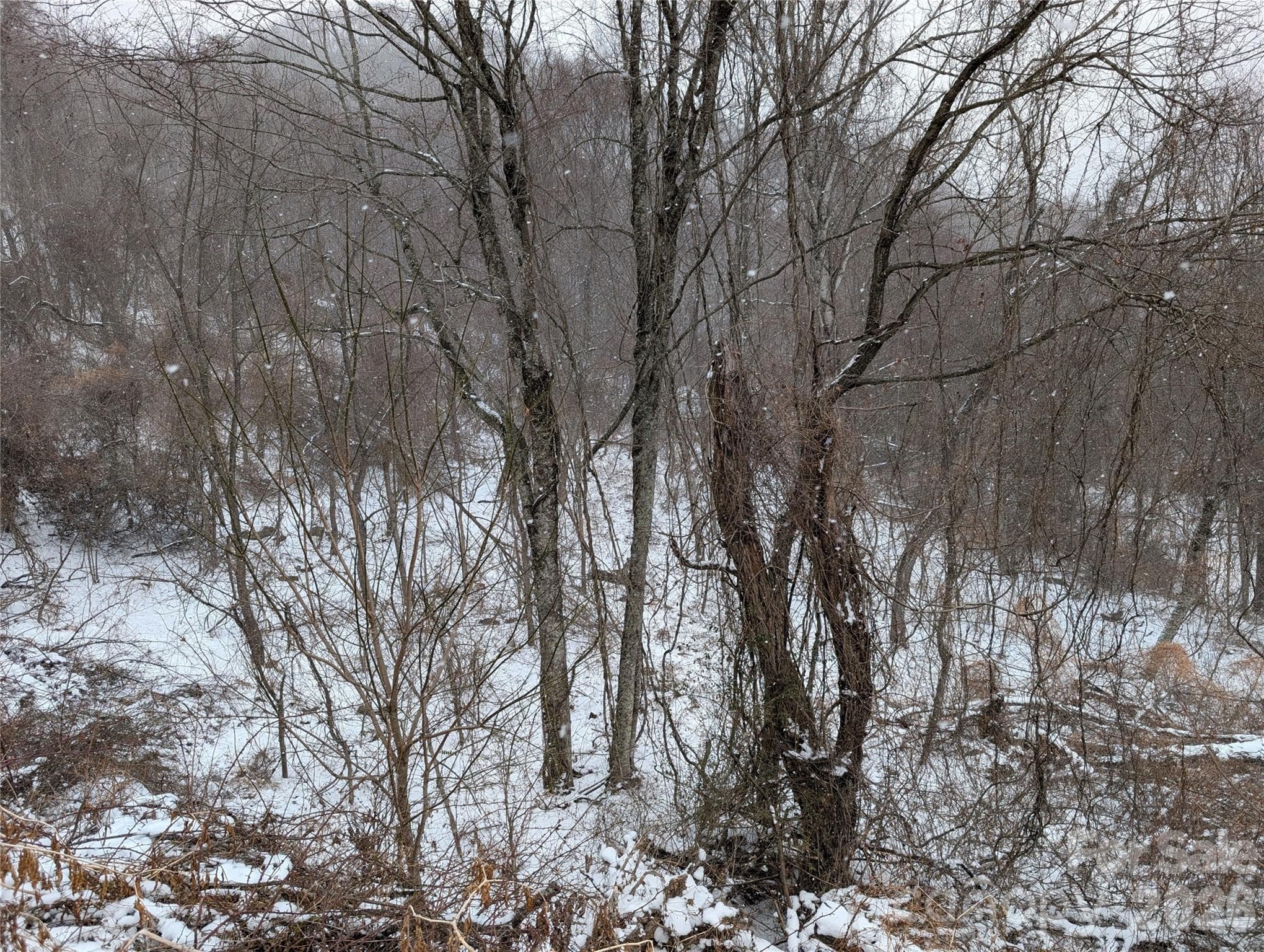 Acreage at 00 Bear Wallow Trail, Canton, photo 4 of 17